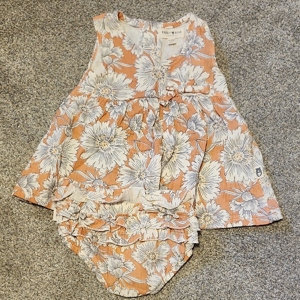 Floral Baby Dress and Bloomers Set